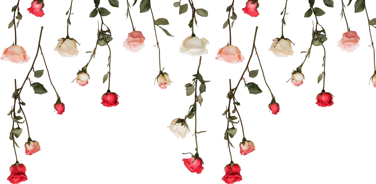 Aşk Hayatın En Güzel Hediyesi